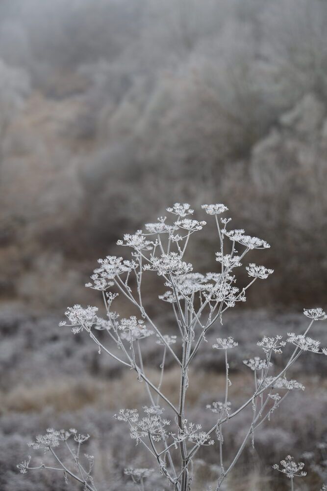 Photograph by Марина Иванникова