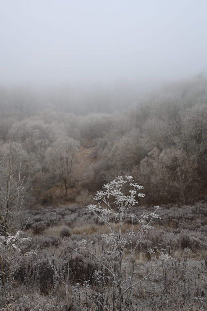 Photograph by Марина Иванникова