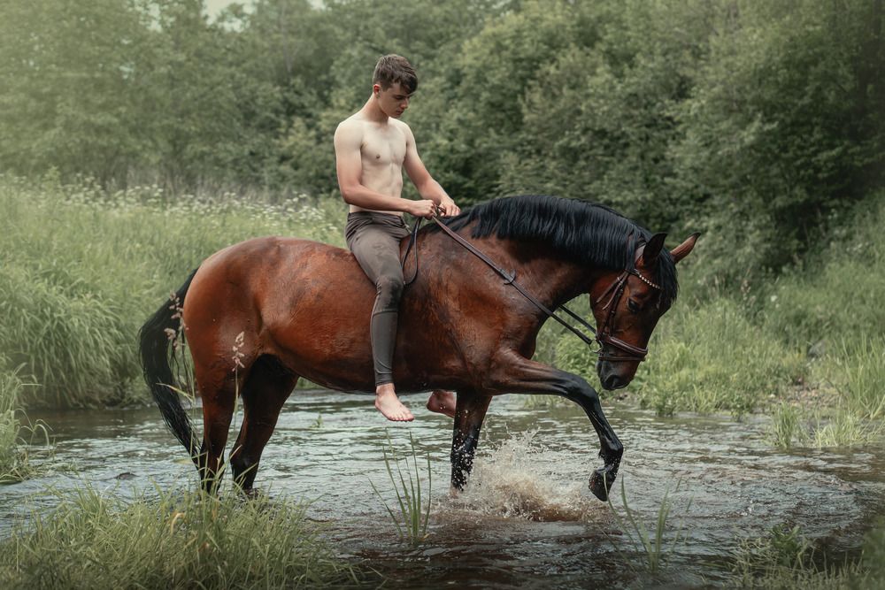 Купание красного коня .