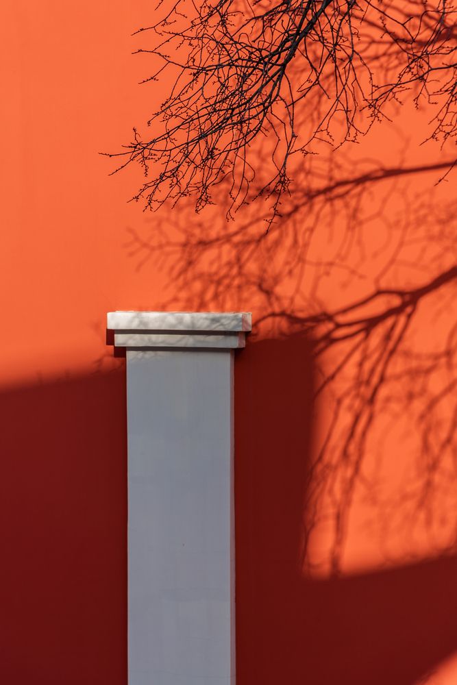 Photograph by Дмитрий Матвеев