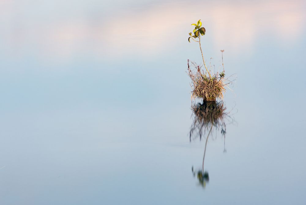 Photograph by Valdir Hobus