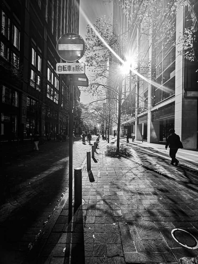 Photograph by Pouyan Safavi