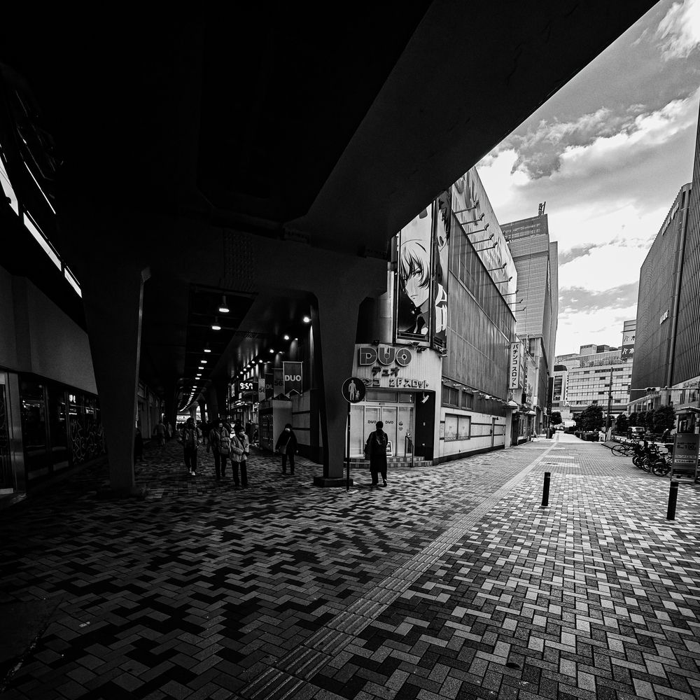 Photograph by Pouyan Safavi