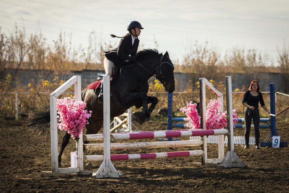 Фотография автора Gorin Egor