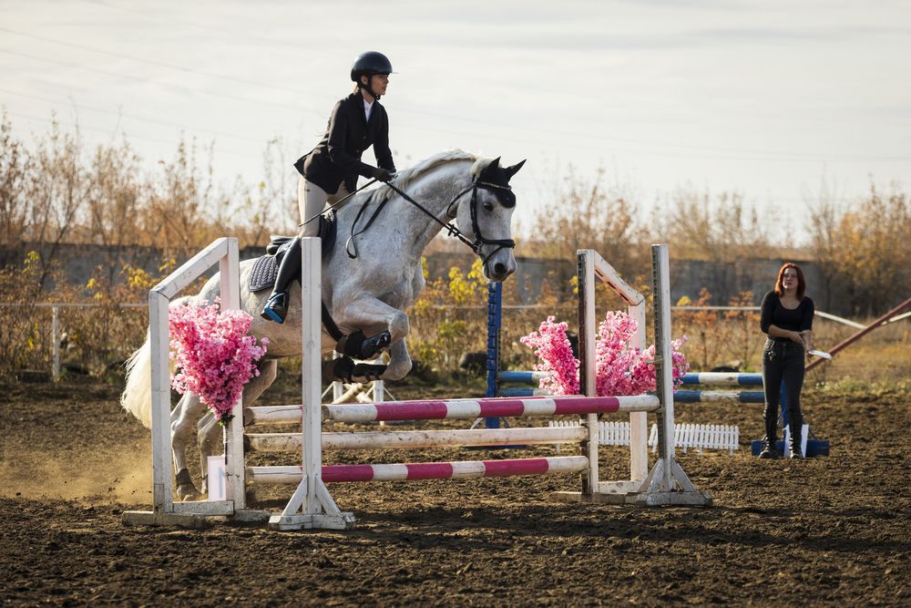 Фотография автора Gorin Egor