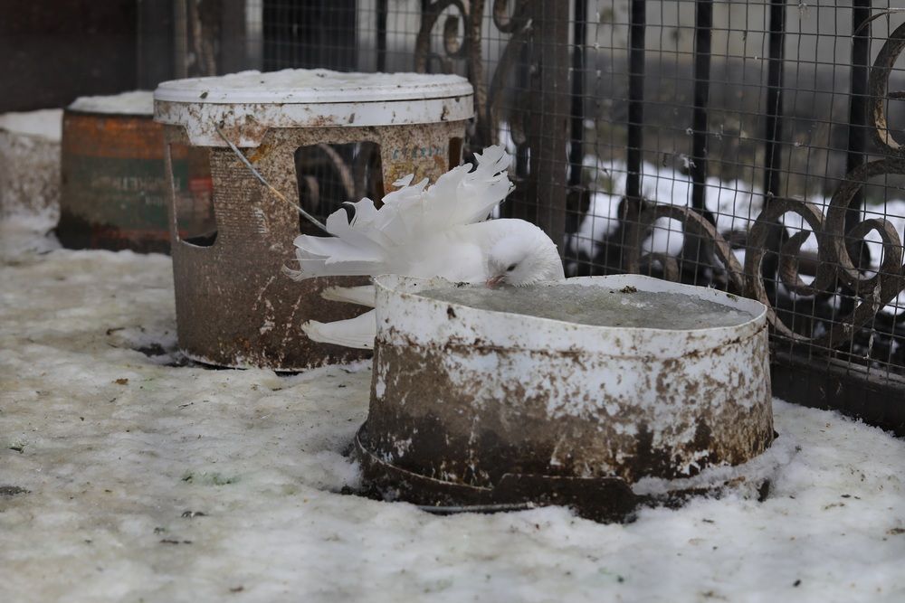 Фотография автора Елена Чурилова