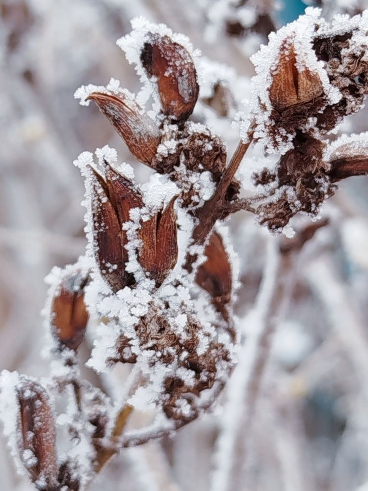 Photograph by Наталья Назаренко