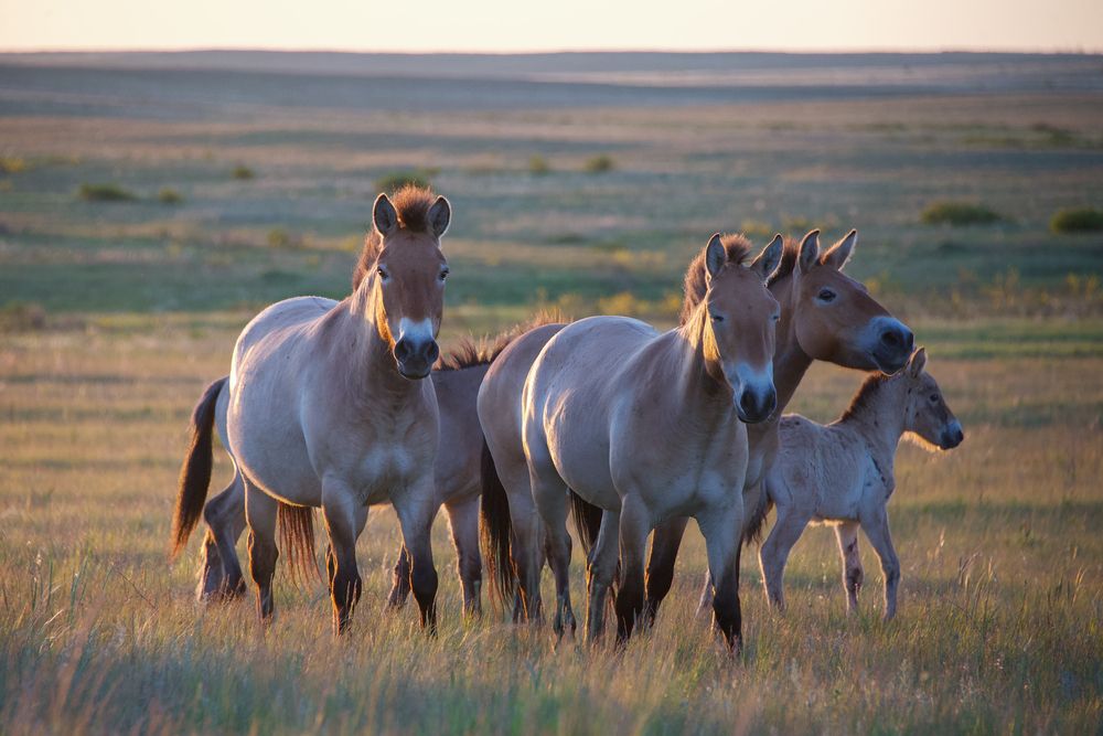 Фотография автора Olga Belousova