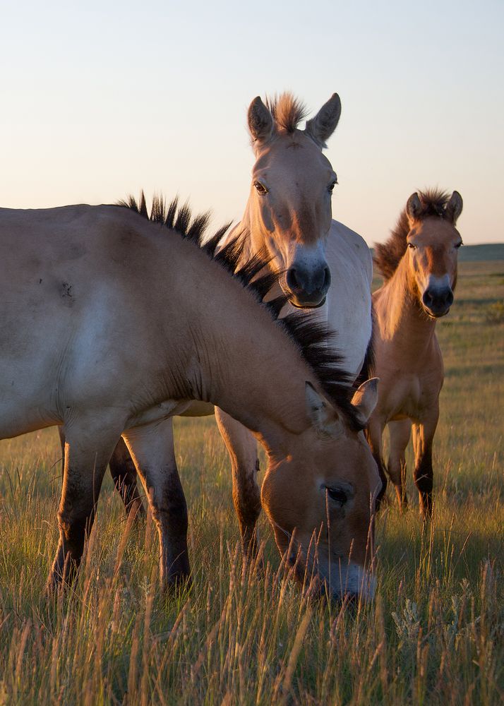 Фотография автора Olga Belousova