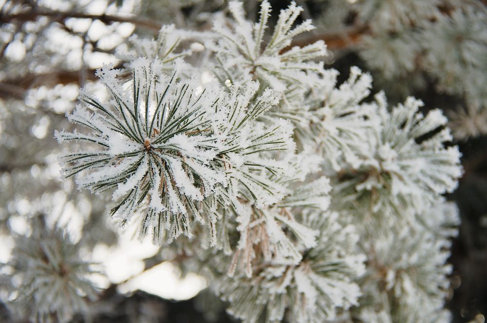 Photograph by Сергей Мур