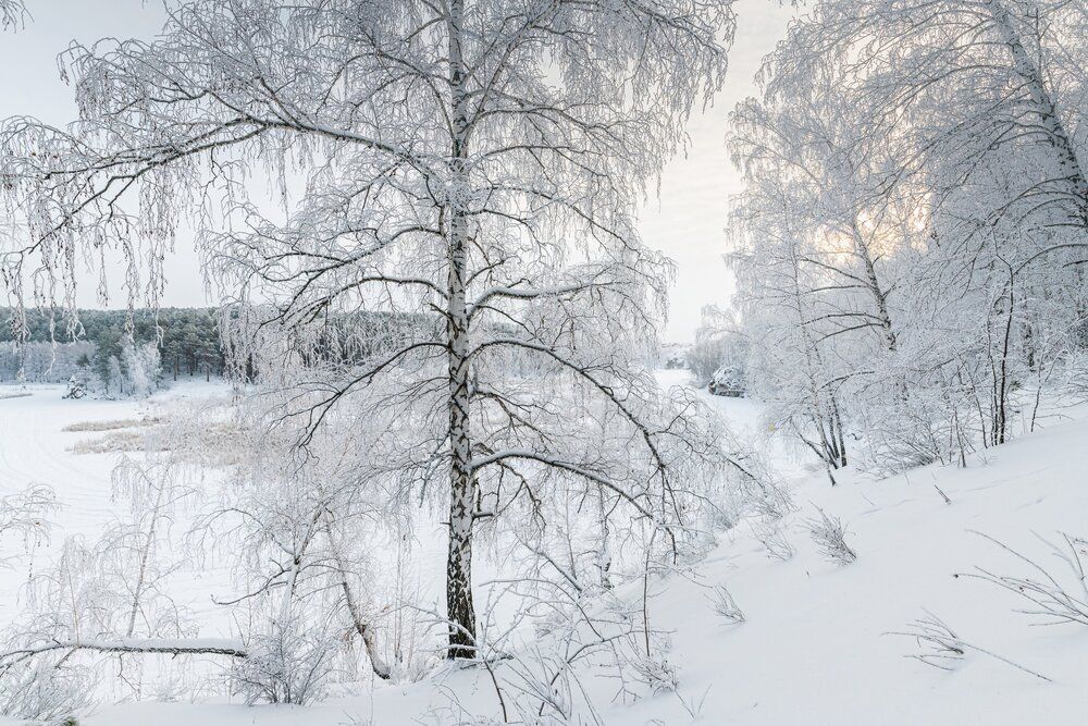 Photograph by Власов Андрей
