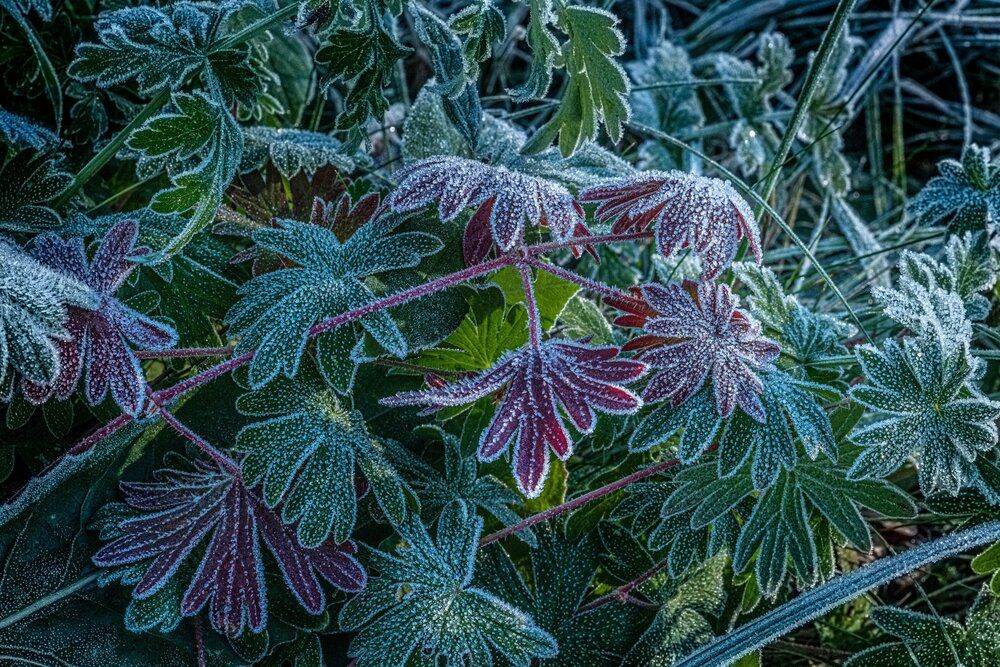 Photograph by Власов Андрей