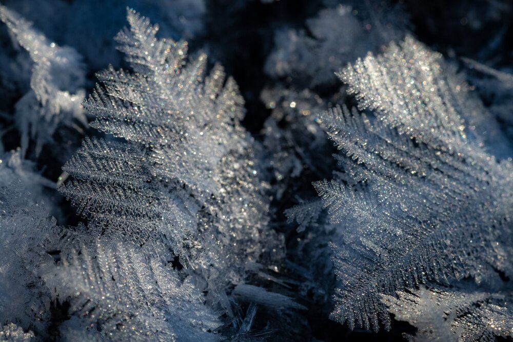 Photograph by Власов Андрей