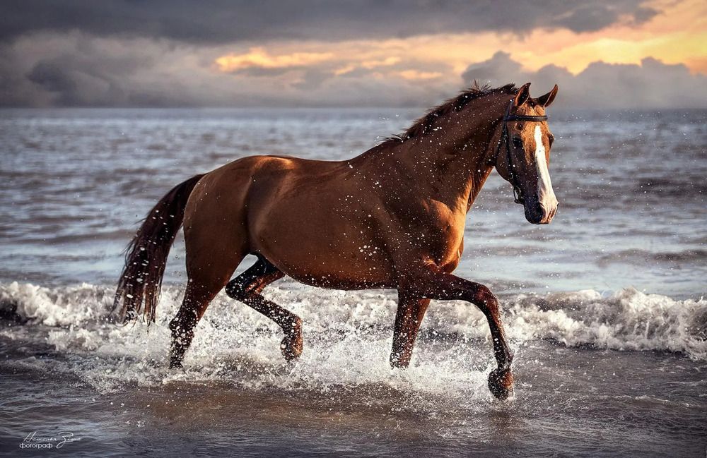 Photograph by Ткачева Наталья