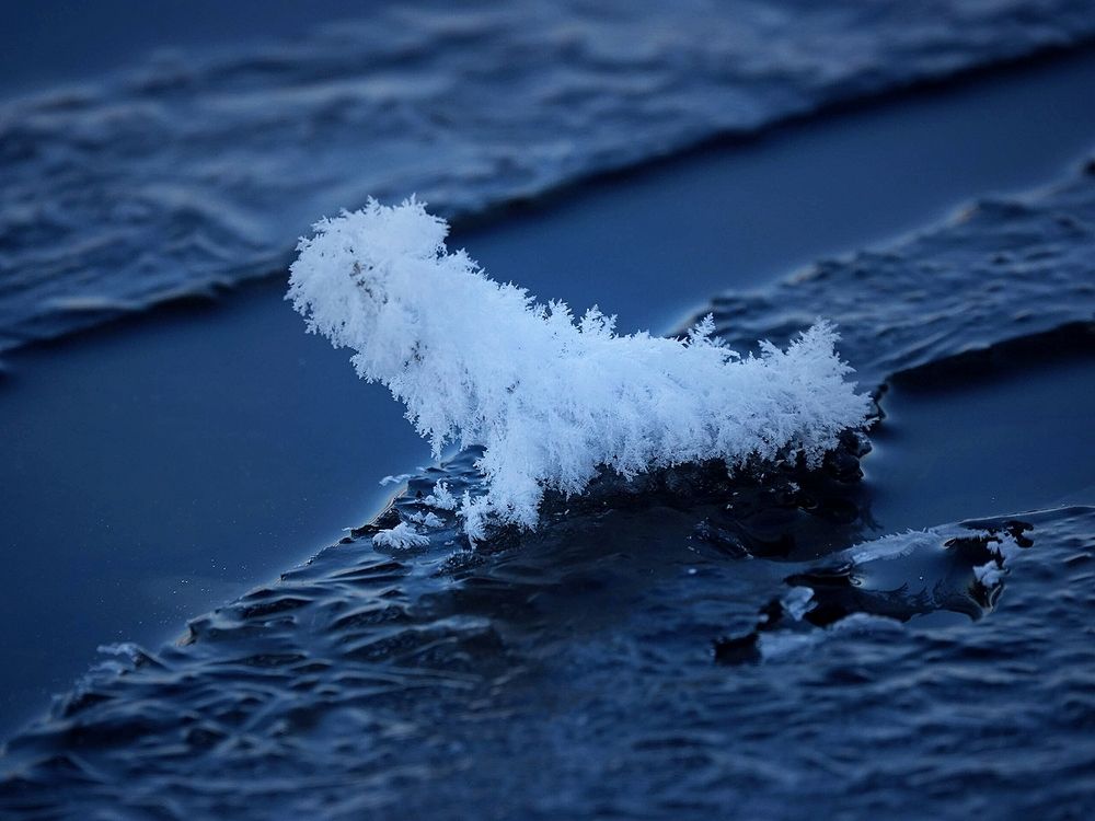 Зимняя балонка.