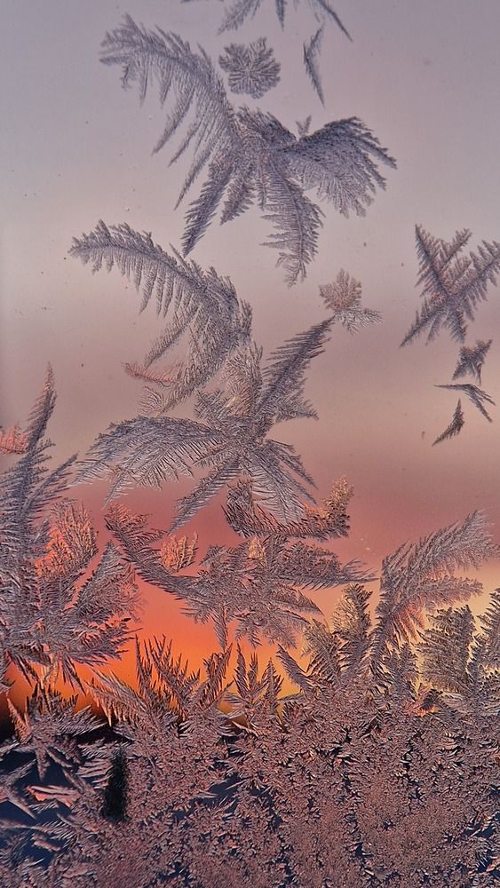 Photograph by Дарья Агапова