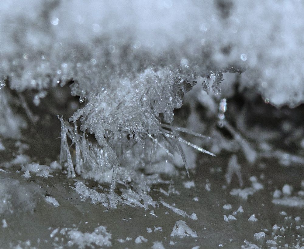 Photograph by Anil Yadav