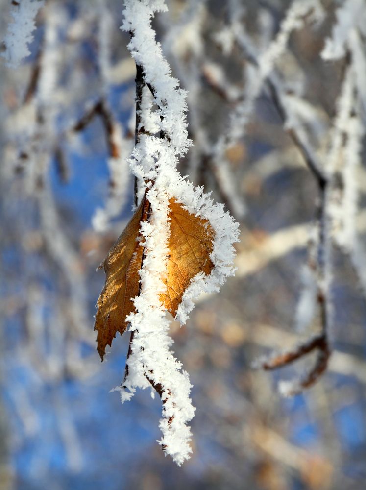 Фотография автора Кухта Мария