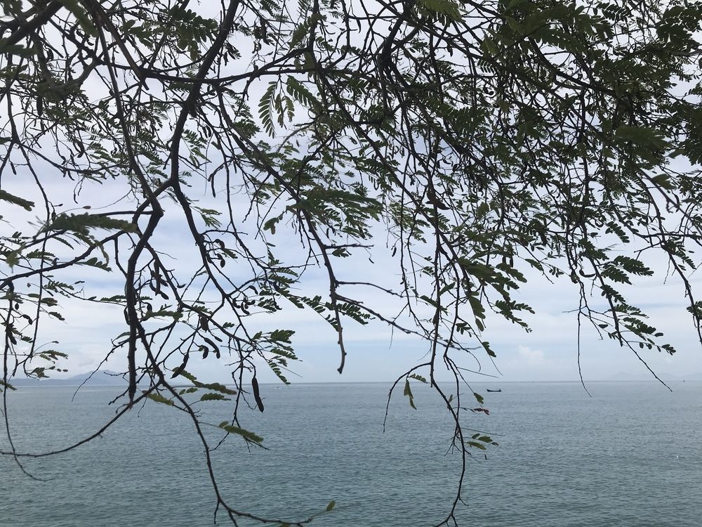 Photograph by Deasy Junita Dhani Hidayana