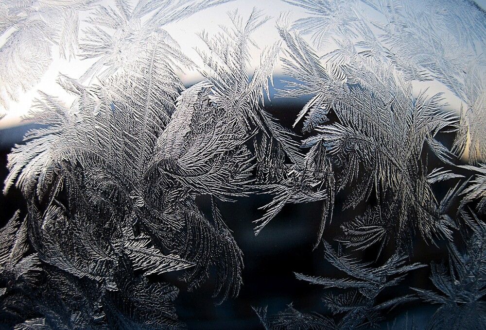 Photograph by Зоя Быкова