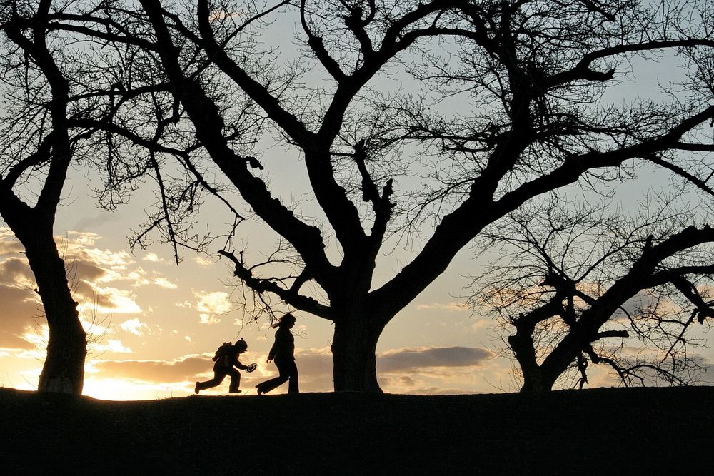 Фотография автора Александр Челмодеев