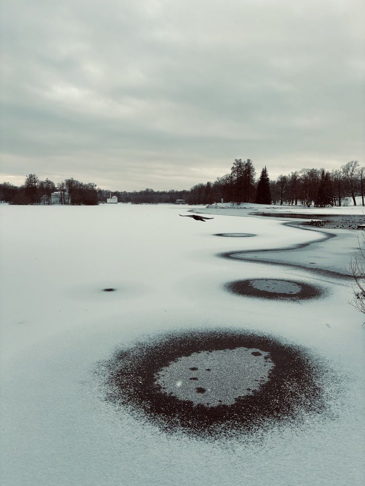 Photograph by Титаренко Людмила