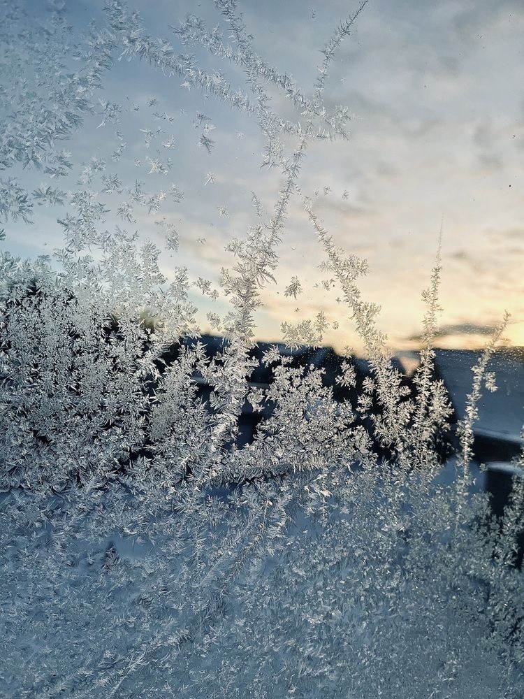 Фотография автора Ананта Шеша