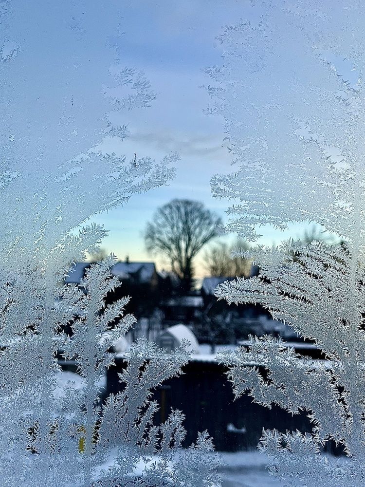 Фотография автора Ананта Шеша