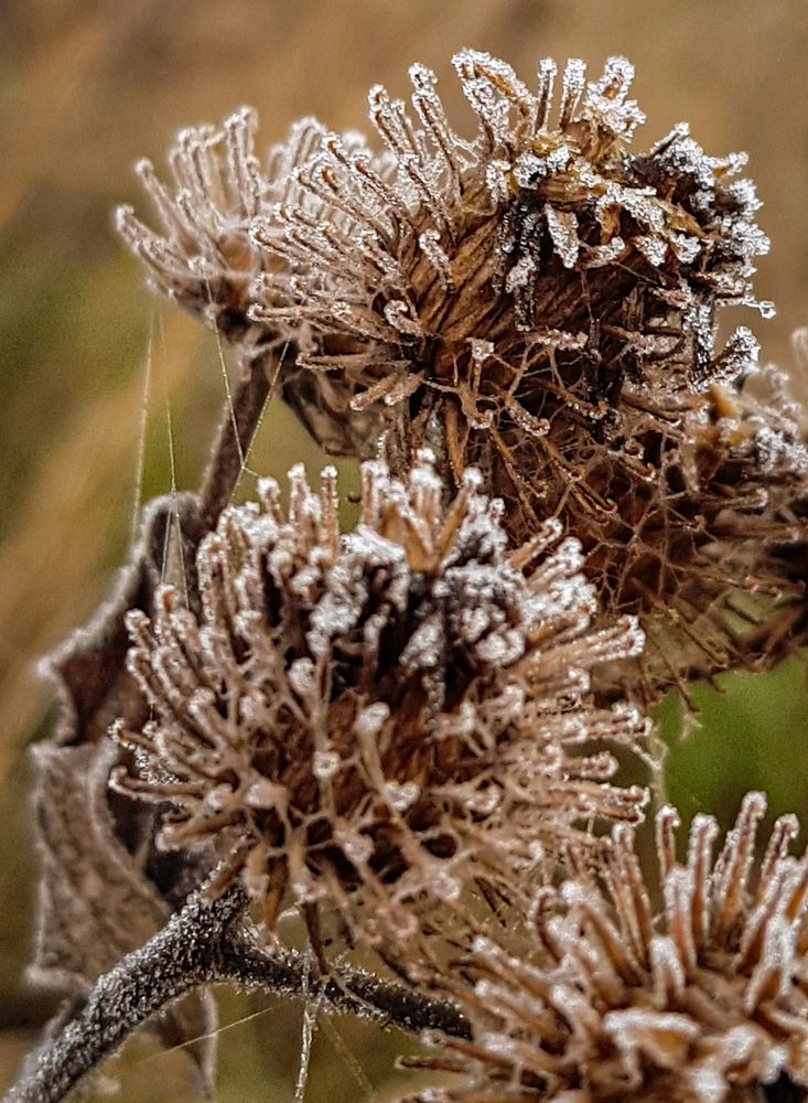 Photograph by Надежда Хрусталёва