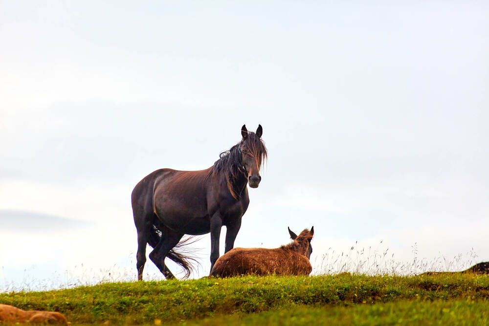 Фотография автора TOTORO