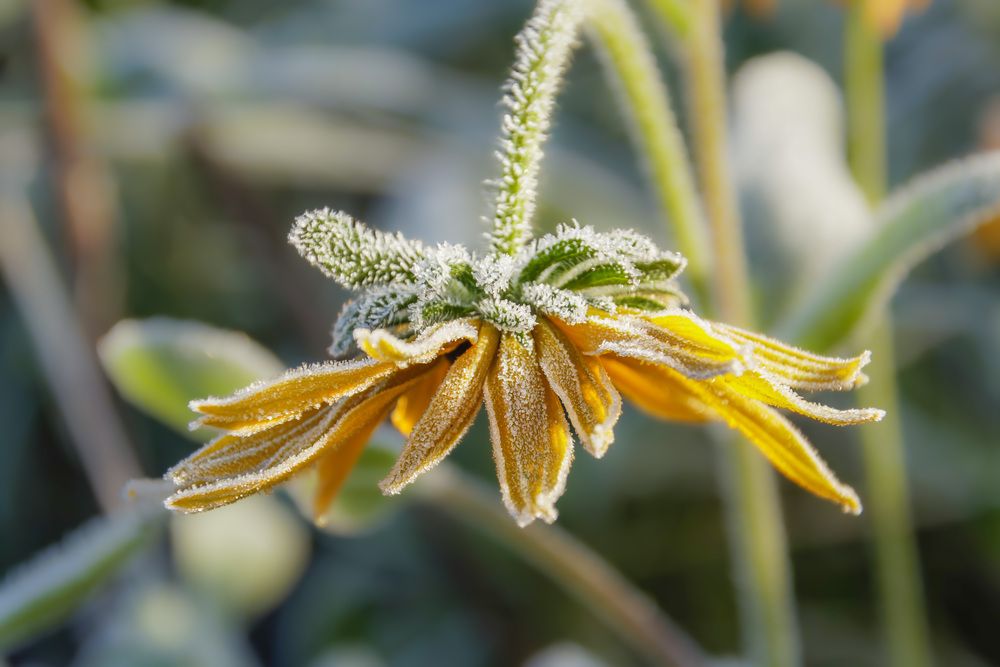 Photograph by Валентина Куренкова