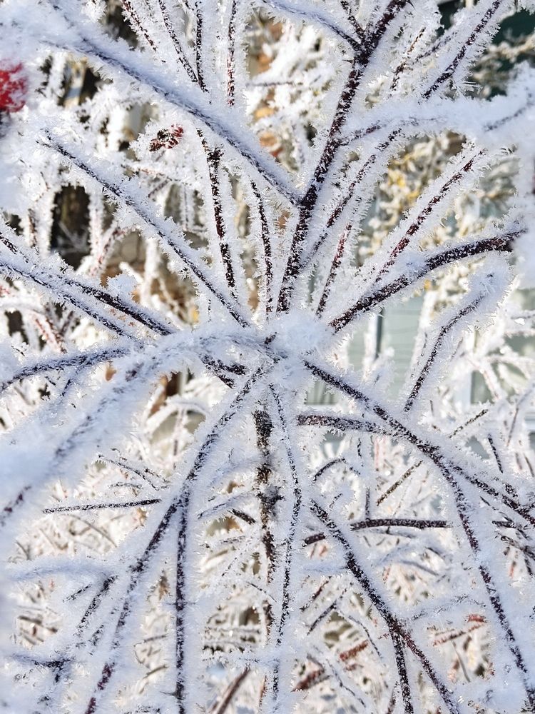 Photograph by Margarita