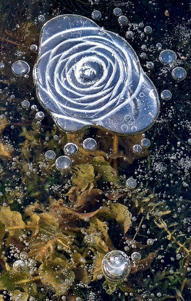 Photograph by Татьяна Устюжанина