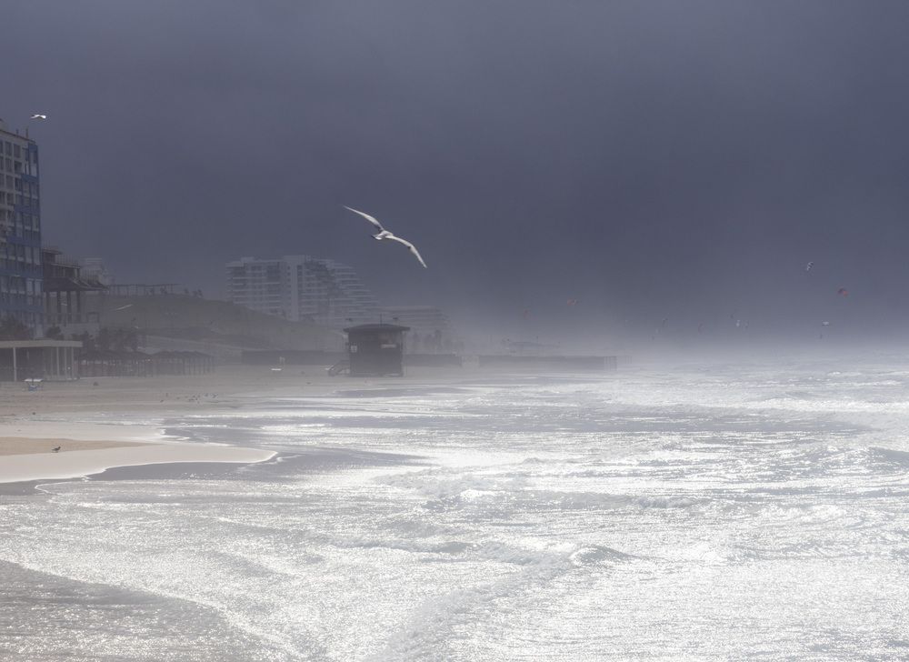 Photograph by Светлана Ханина