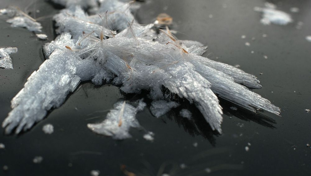 Photograph by Дмитрий Ткаченко