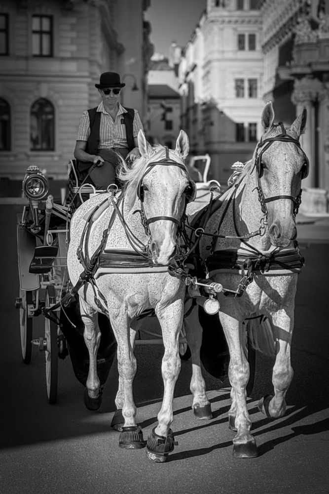 Photograph by Александр Шандов