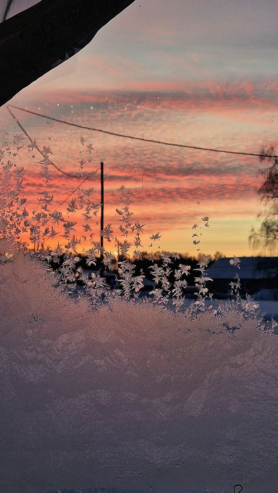 Photograph by Дарья Агапова