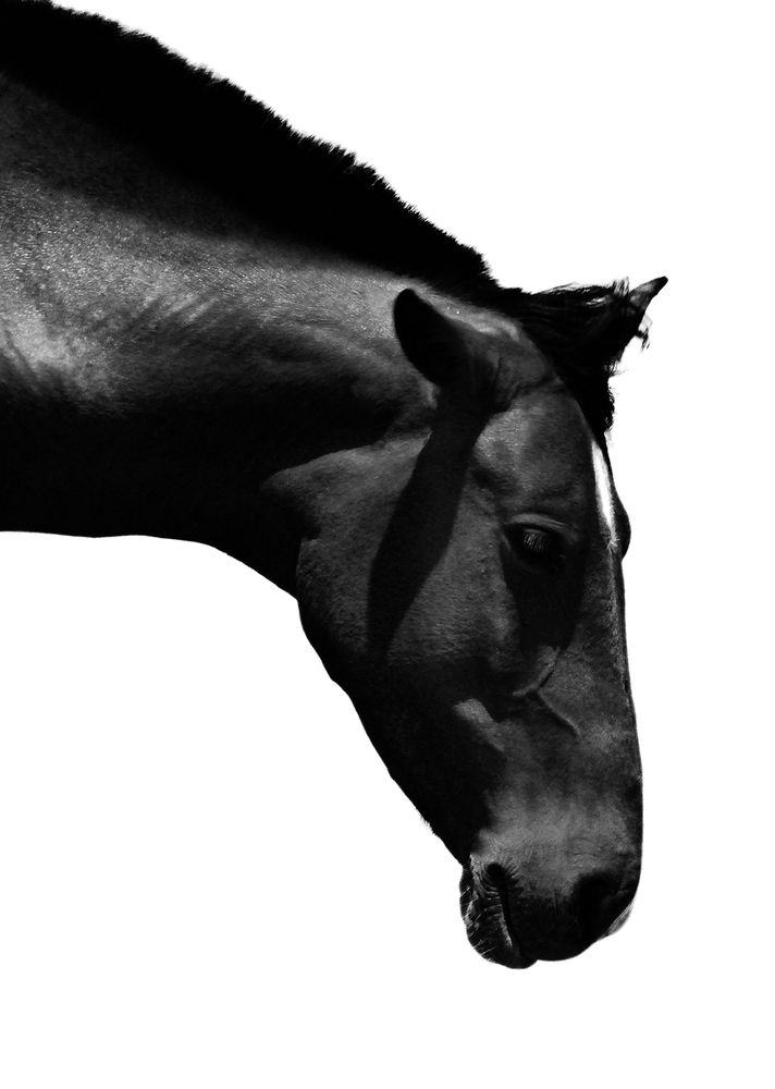 Фотография автора hasan sorena jouri