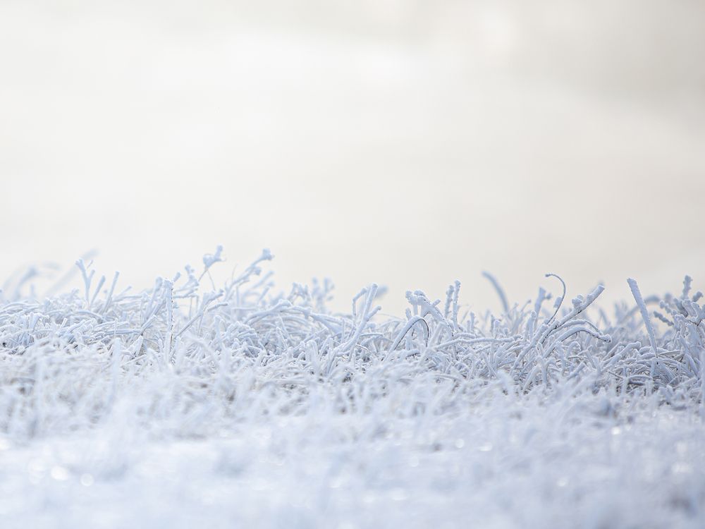 Photograph by Варвара Торокина