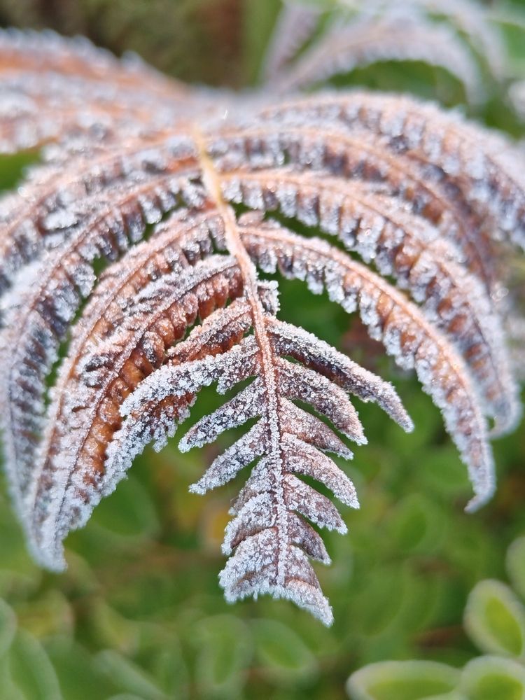 Photograph by Татьяна