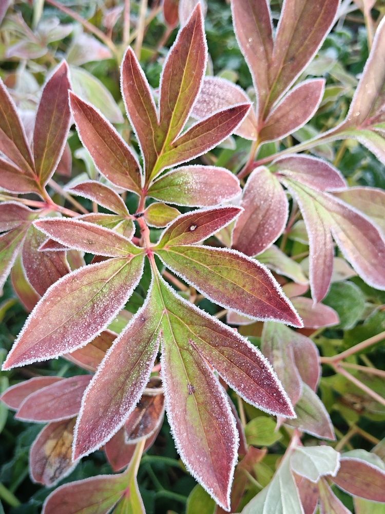 Photograph by Татьяна