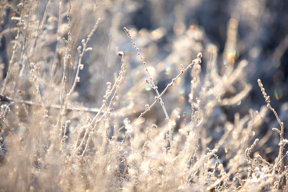 Photograph by Варвара Торокина