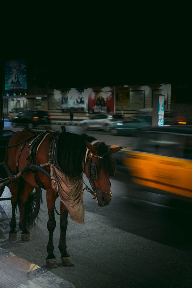 Photograph by Sara Ali