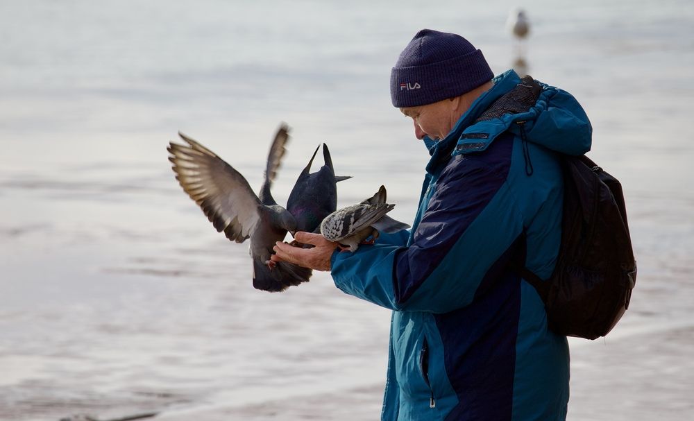 Photograph by Борис Захаров