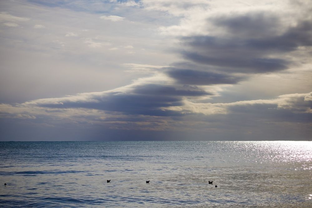 Photograph by Борис Захаров