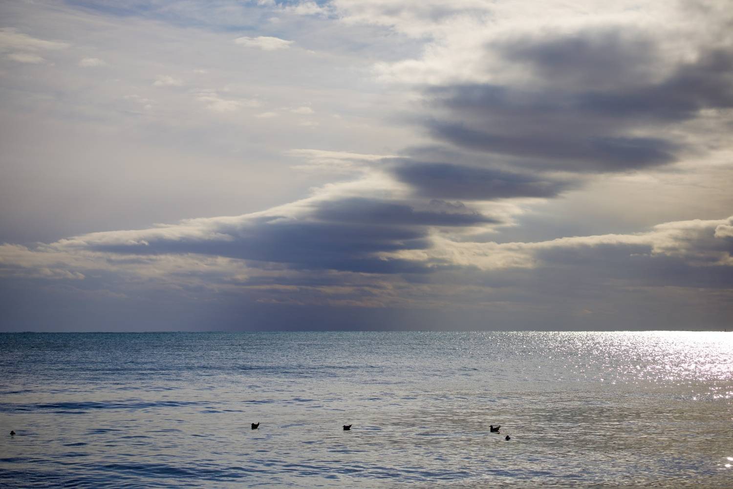 Photo #13024094