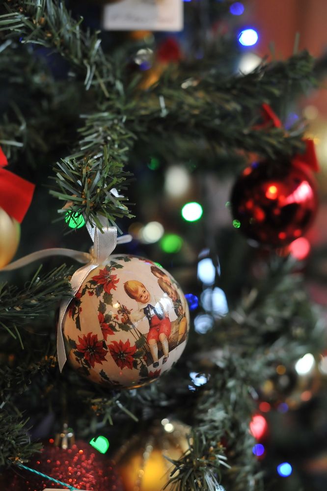 Фотография автора Ольга Пушленкова