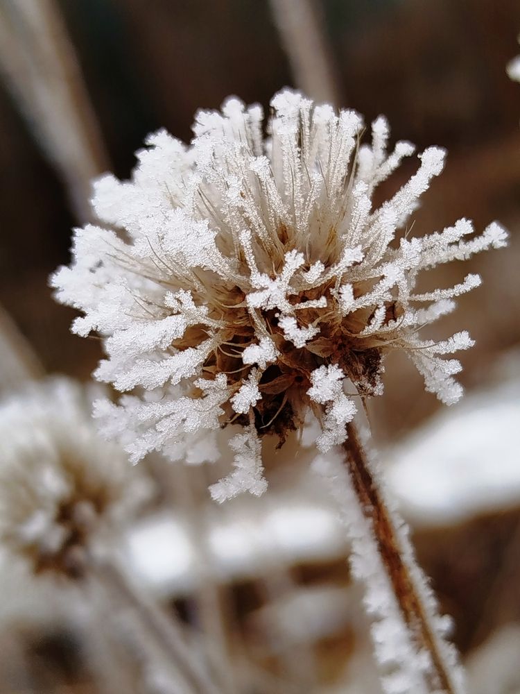 Photograph by Наталья Назаренко