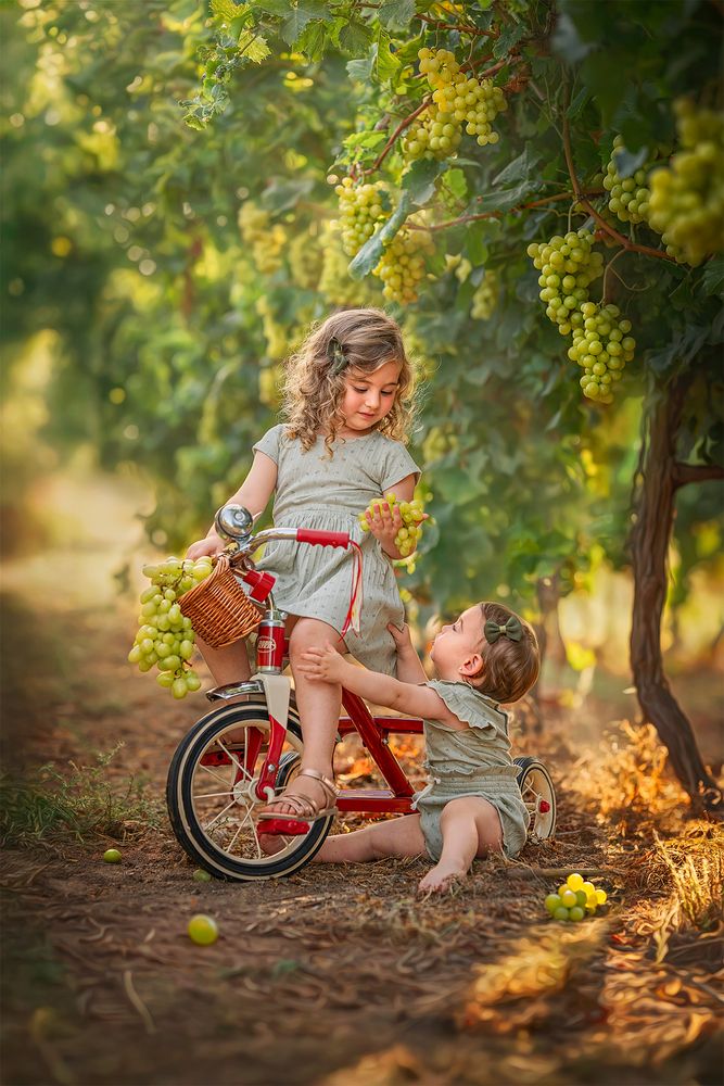 Photograph by Arie Abramov