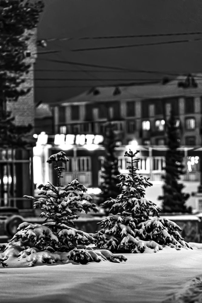 Photograph by Виктория Лобанова